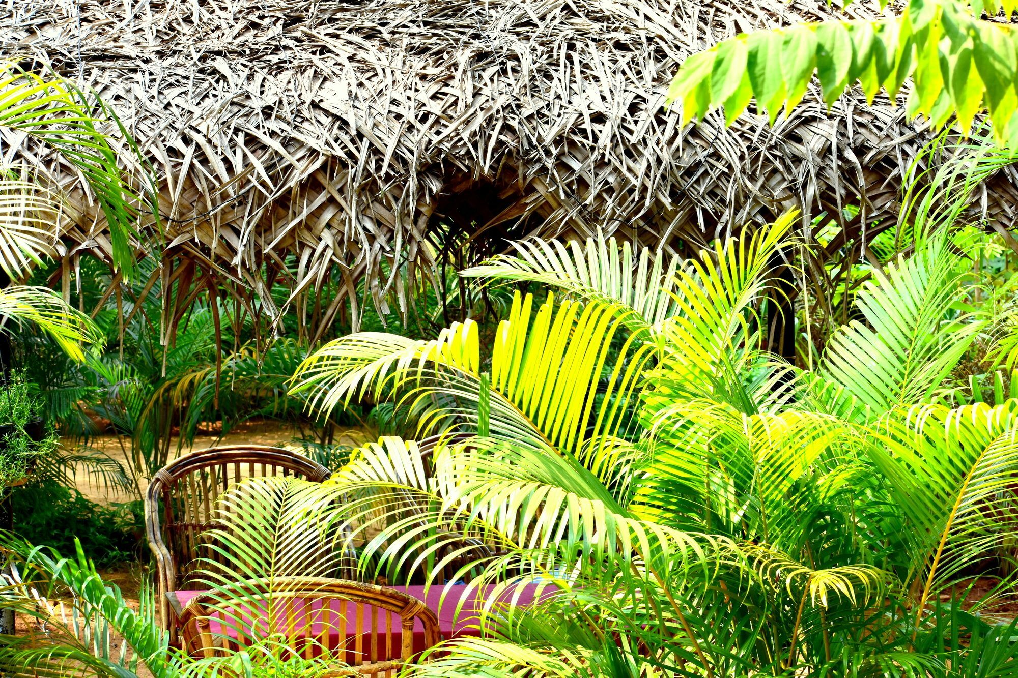 Patnem Garden Resort Patnem Beach Exterior foto